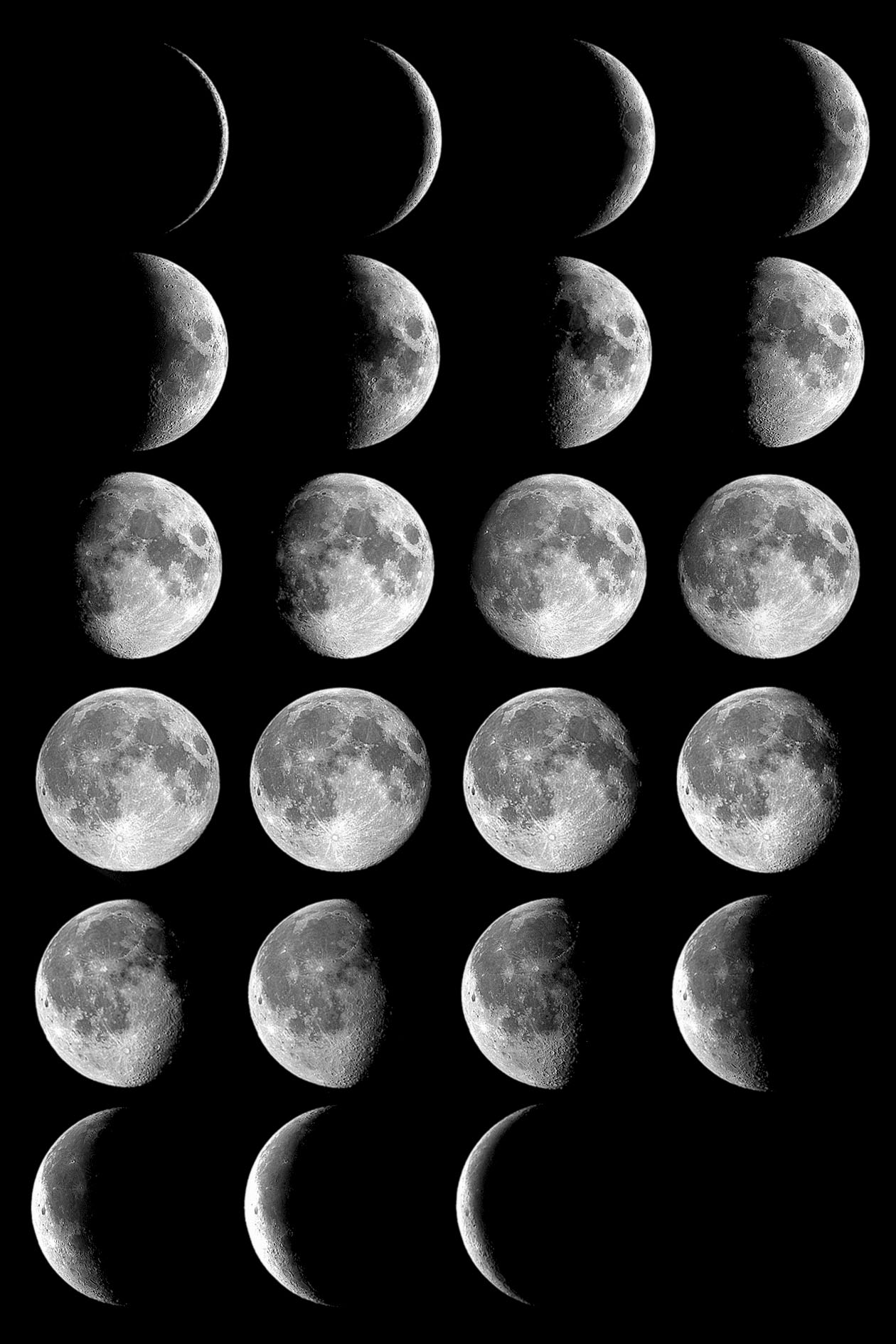 Phases of the Moon